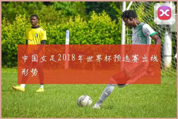 中国女足2018年世界杯预选赛出线形势