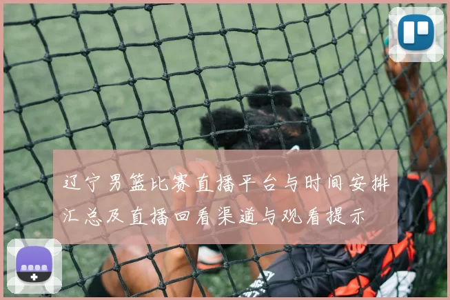 辽宁男篮比赛直播平台与时间安排汇总及直播回看渠道与观看提示